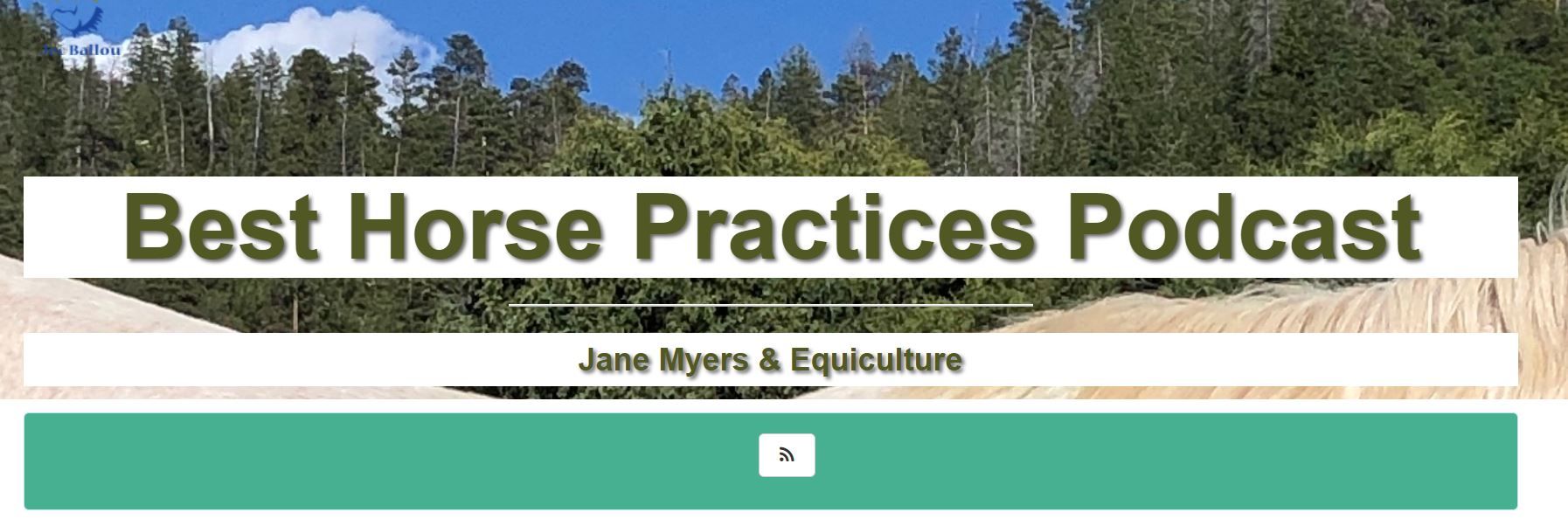 Best Horse Practices Podcast Jane Myers