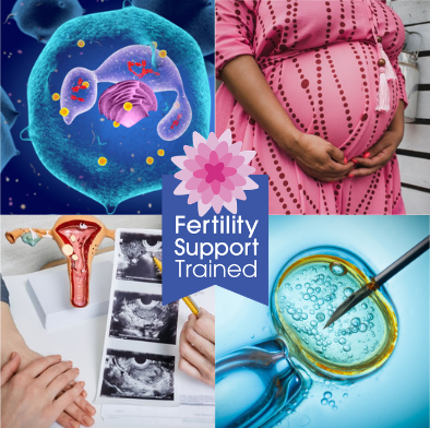 Fertility Support Secrets: The Advanced Level Diploma in Fertility Acupuncture from Naava Carman