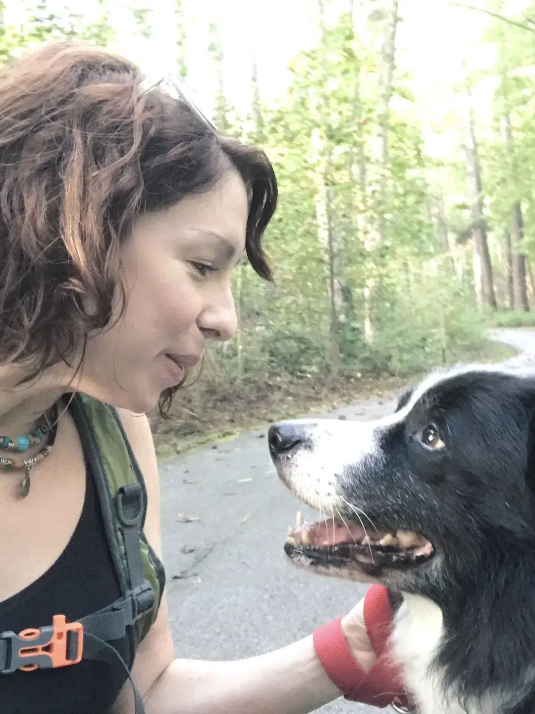 brunette woman looking at border collie pet psychic animal communicator animal communication