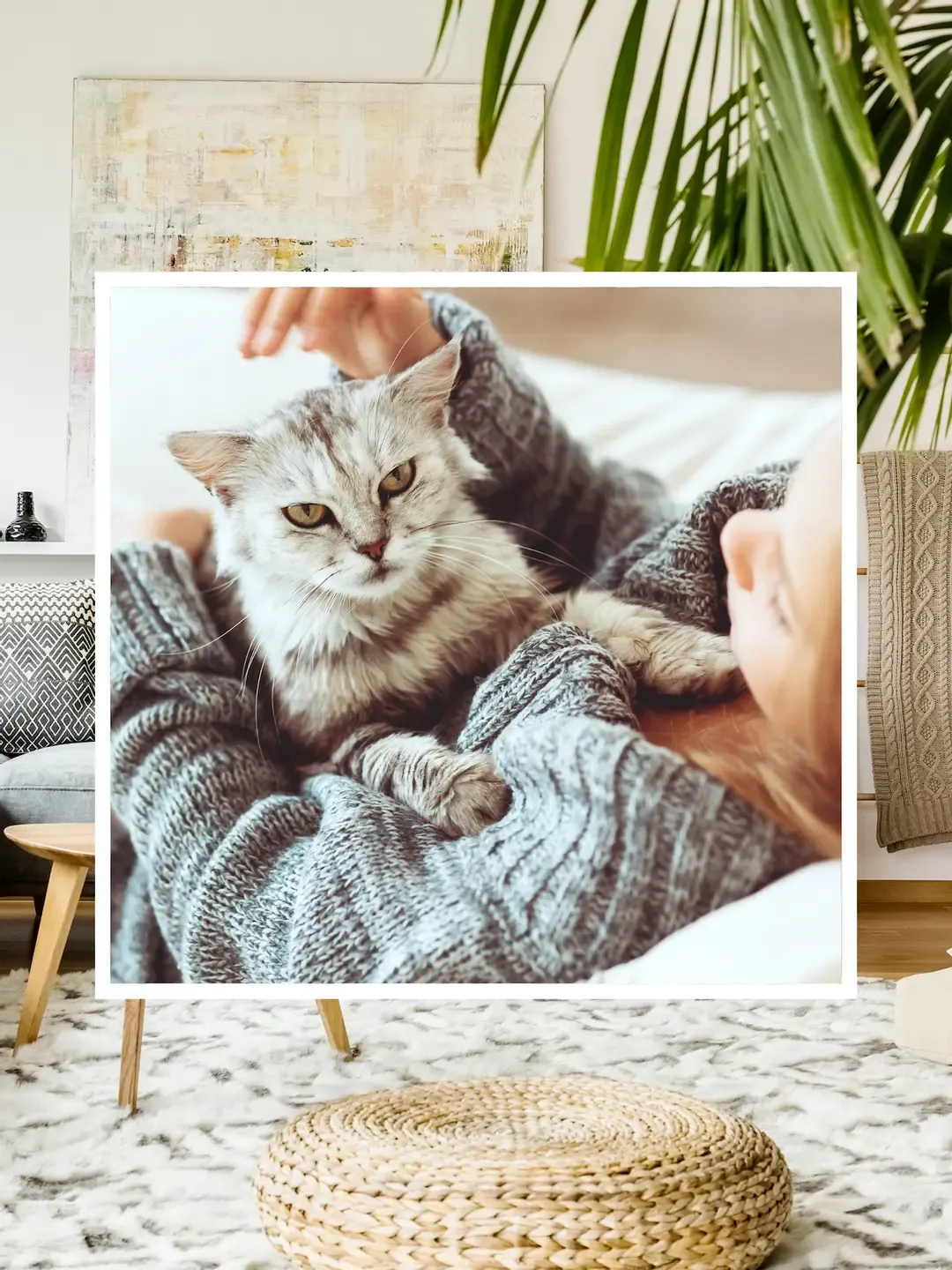 girl in gray sweater petting gray and white cat animal communicator pet psychic animal communication