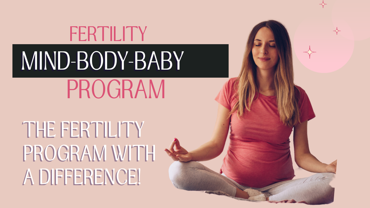 MindBodyBaby The Fertility Program