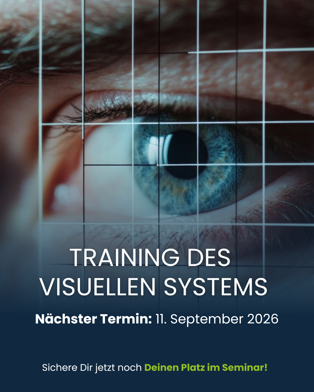 Online-Seminar Schmerzreduktion