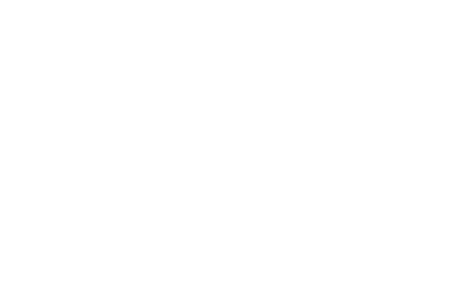 Chair in Transgender Studies Logo