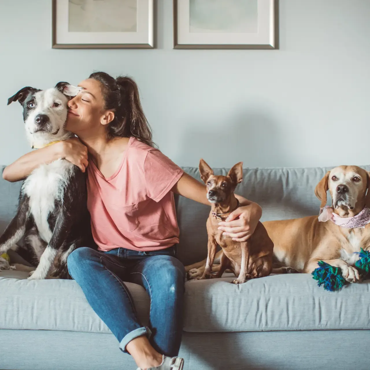 woman on couch with dogs