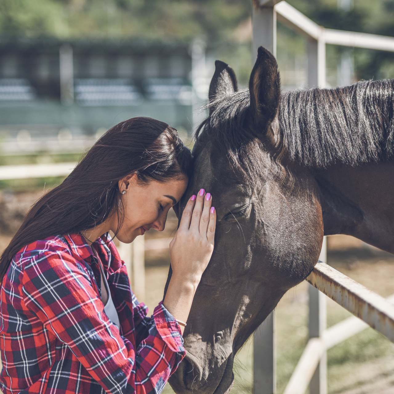 woman with horse