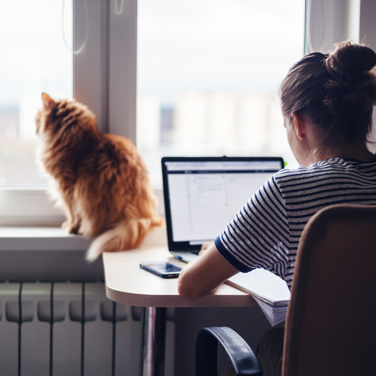 woman on laptop with cat looking out window