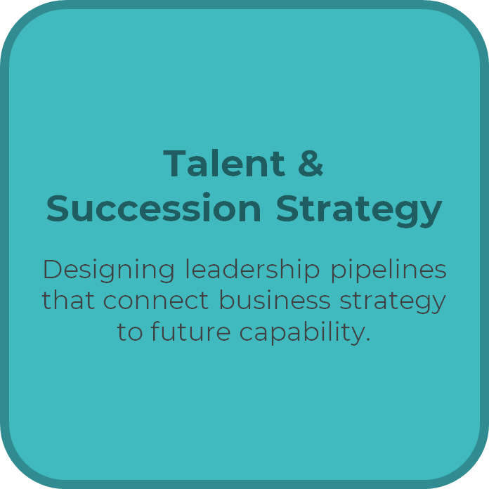Talent & Succession Strategy Designing leadership pipelines that connect business strategy to future capability.