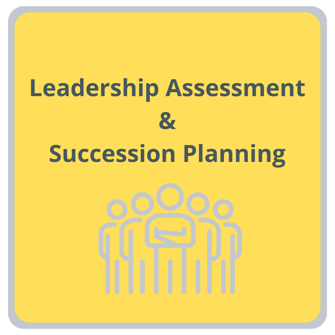 NewlandRock Leadership Assessment & Succession Planning 