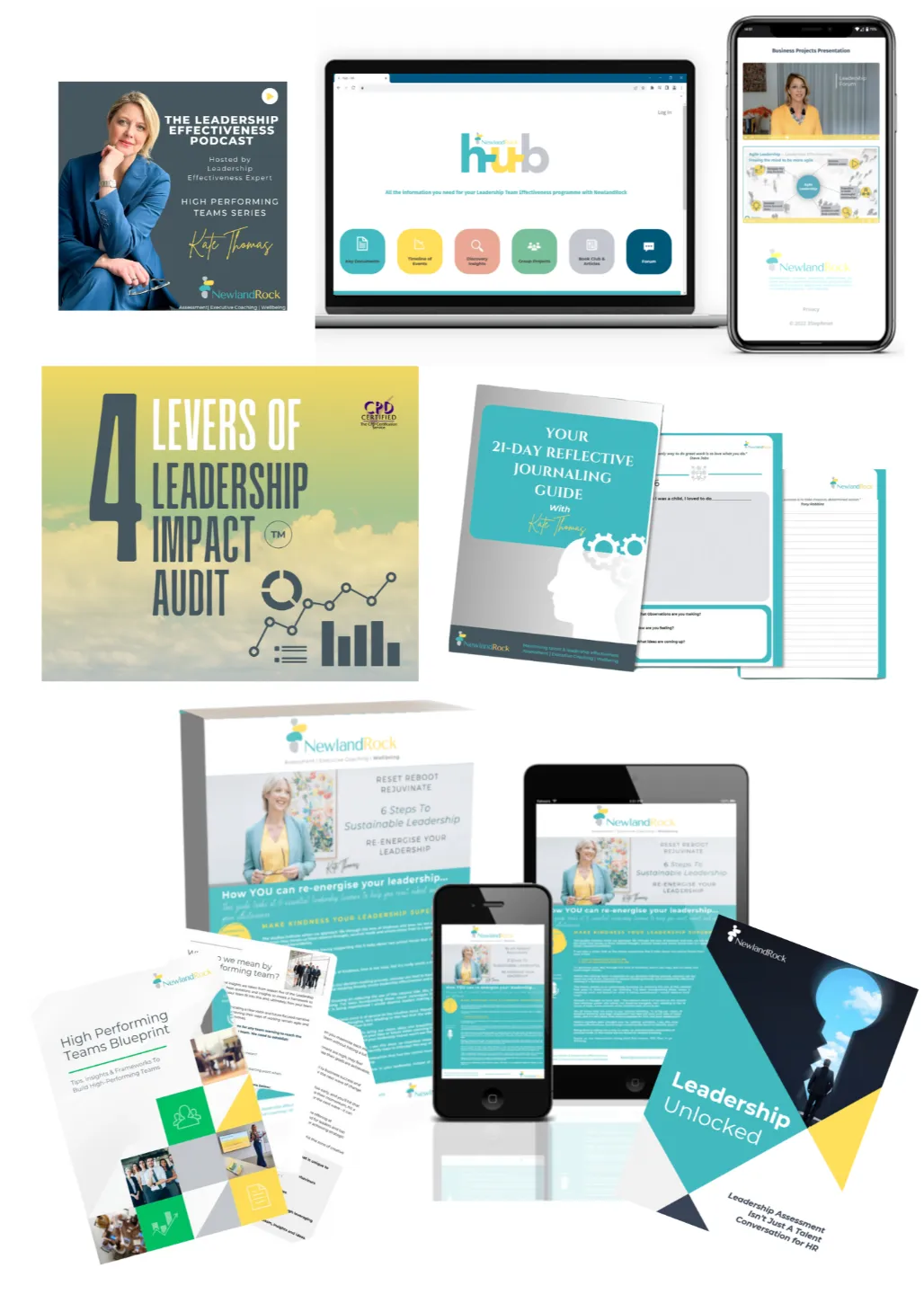 The Four Levers of Leadership Impact for Organisations