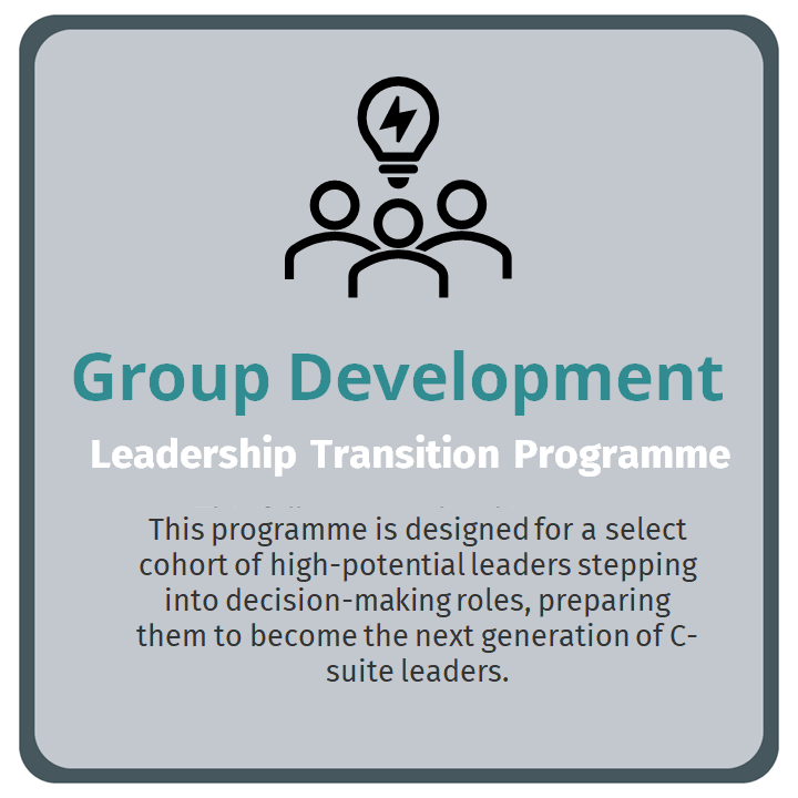 Executive C-Suite Coaching Programme