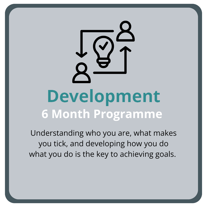 Executive Development Coaching  6 Month Programme