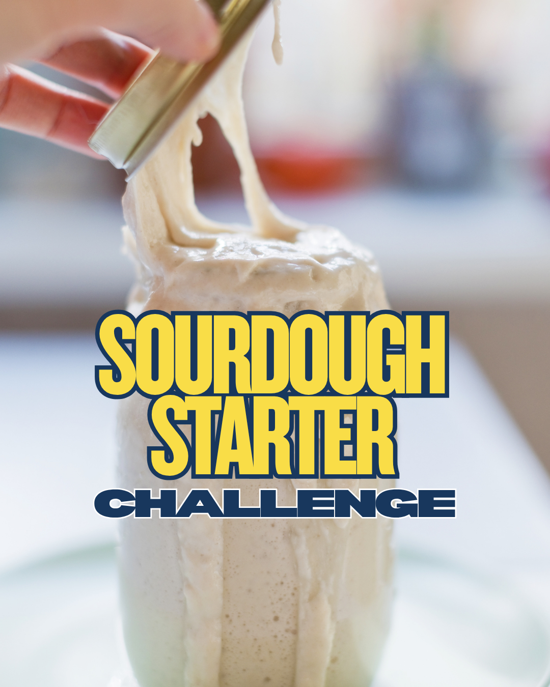 simple sourdough starter challenge | image