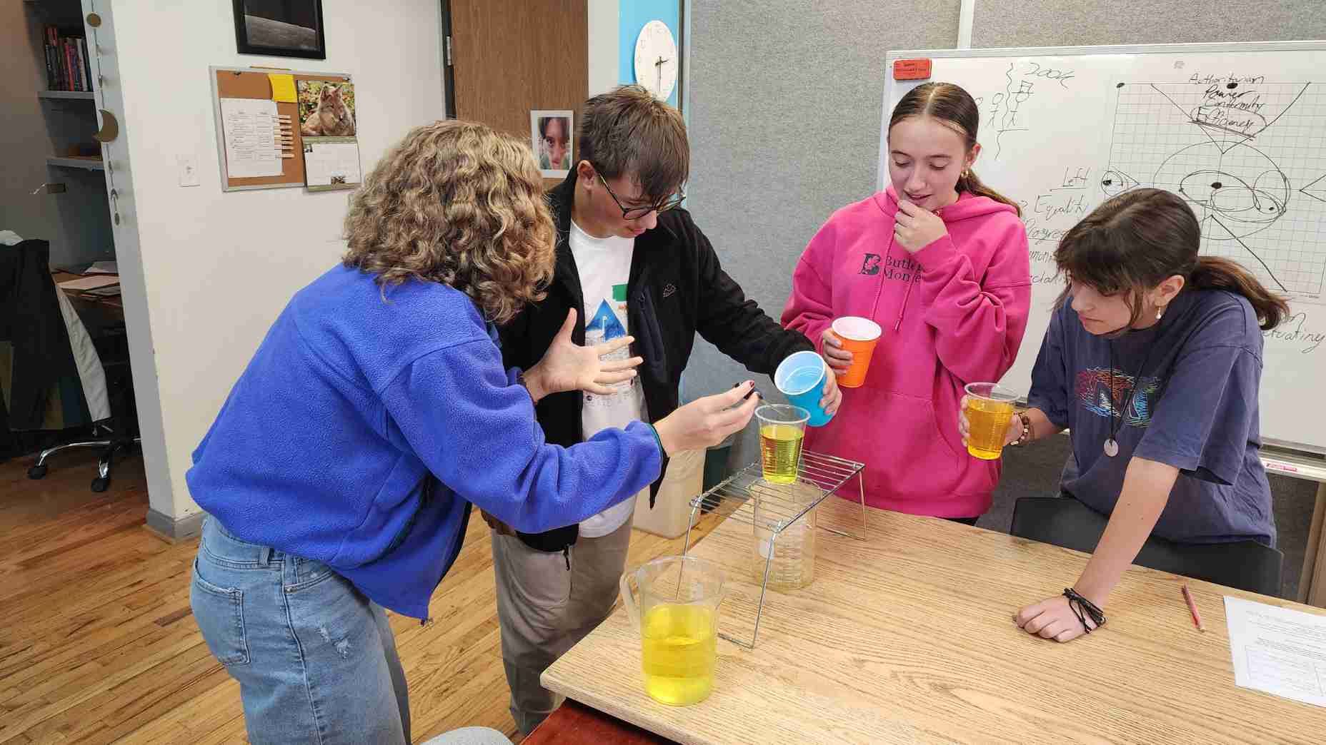 students viewing a marine mammal jawbone