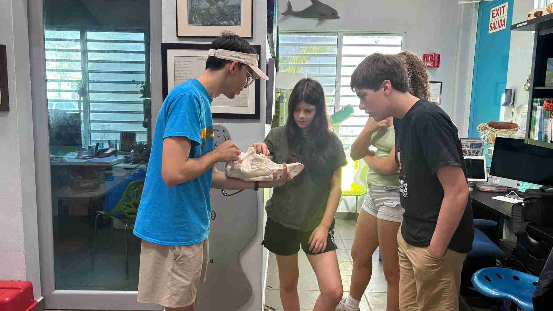 students viewing a marine mammal jawbone