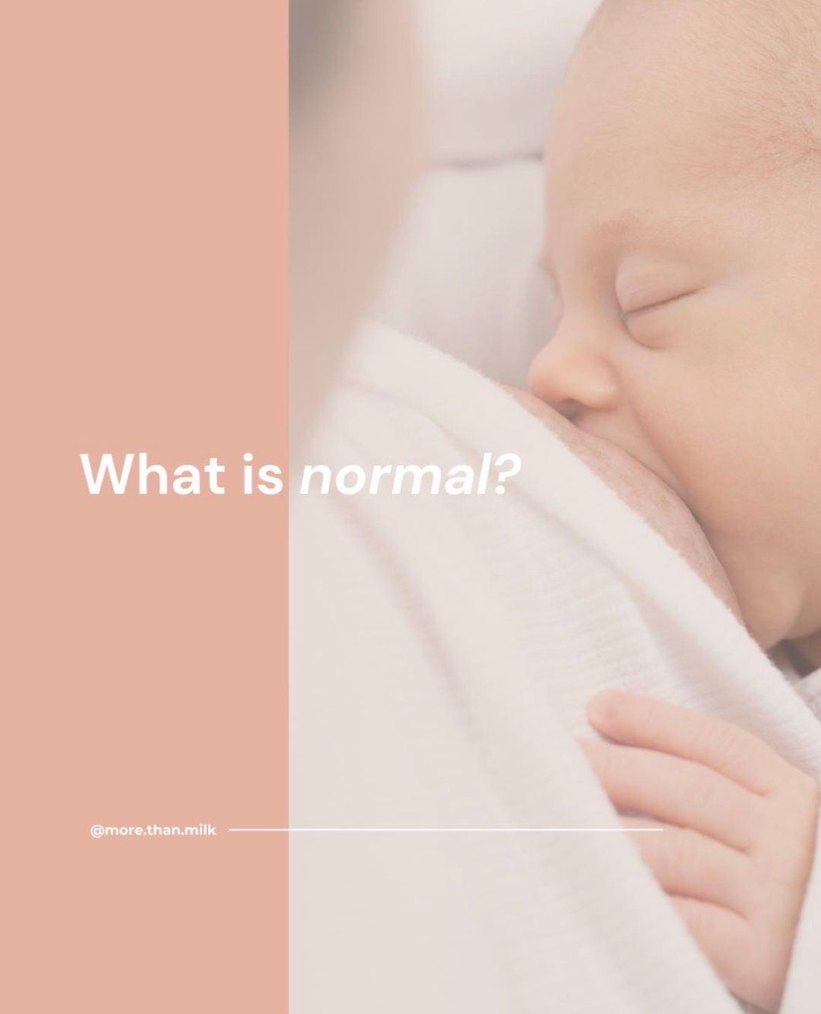 More Than Milk on Instagram