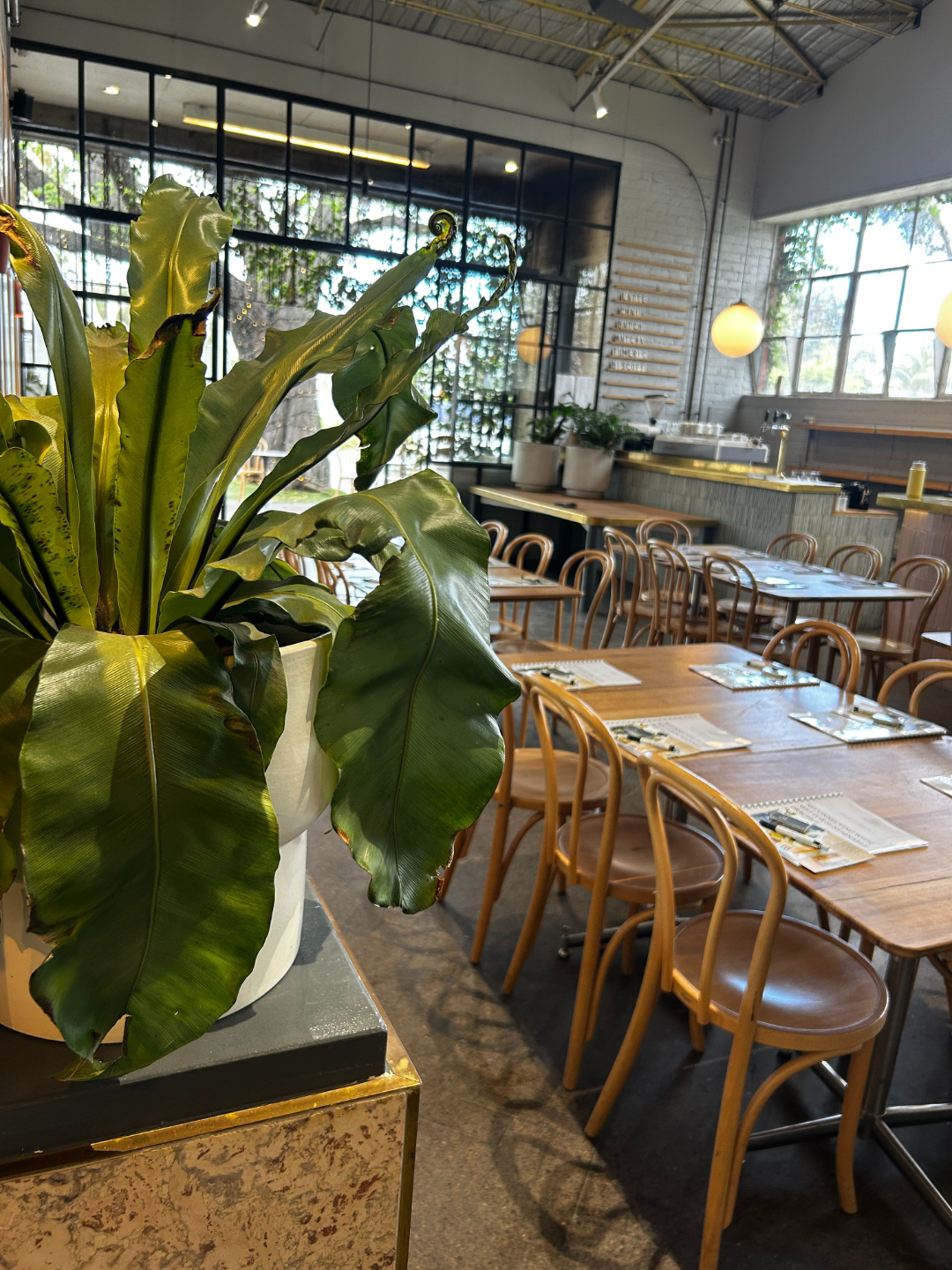 Dr Emily Amos workshop