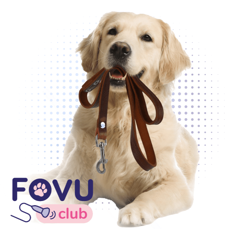 Camilla Edwards of FOVU