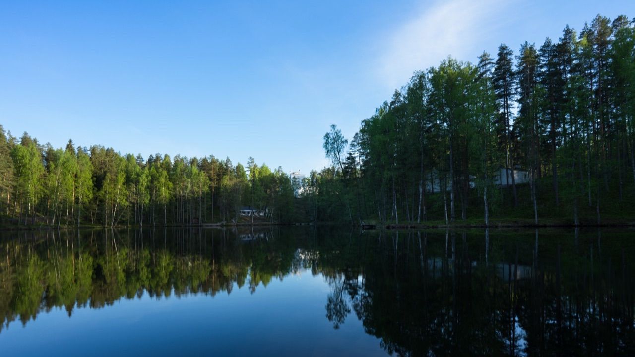 Metsäjärvi rauhallisessa luontomaisemassa