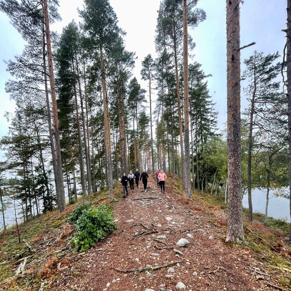Juoksuryhmä metsäpolulla järven rannalla