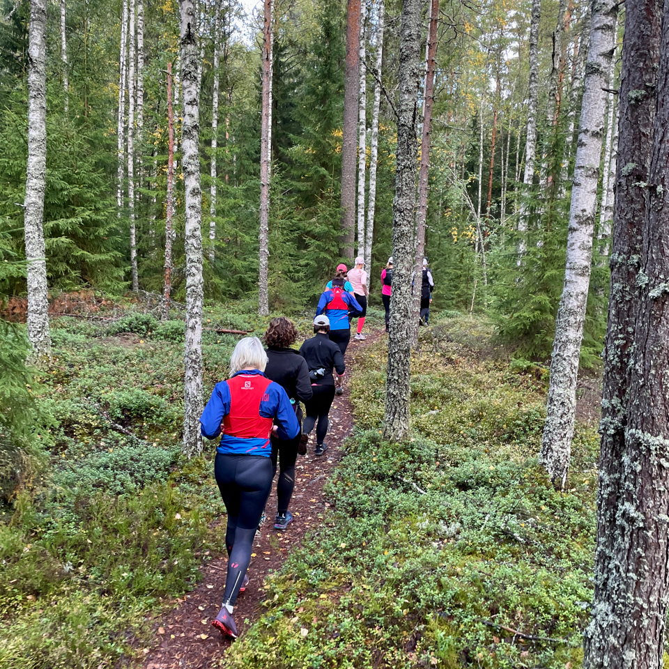 Juoksuryhmä metsäpolulla harjoituksessa
