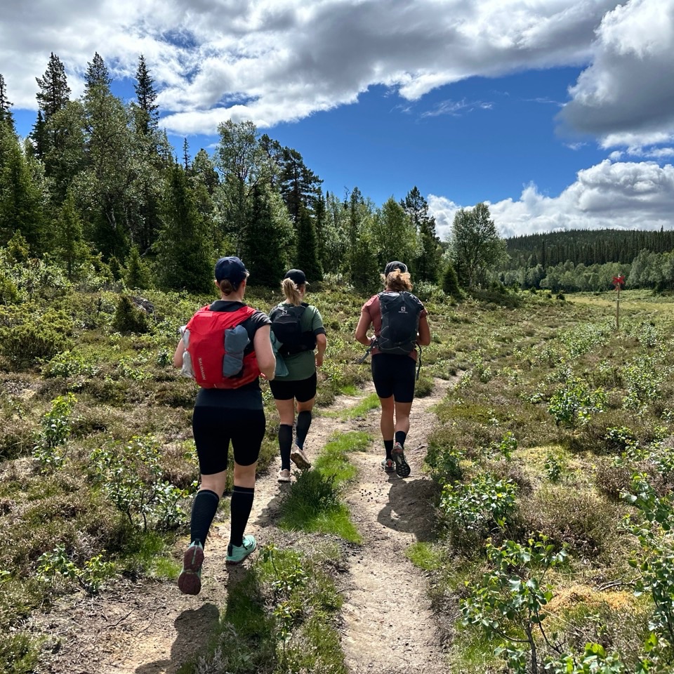 Juoksuryhmä tunturipolulla