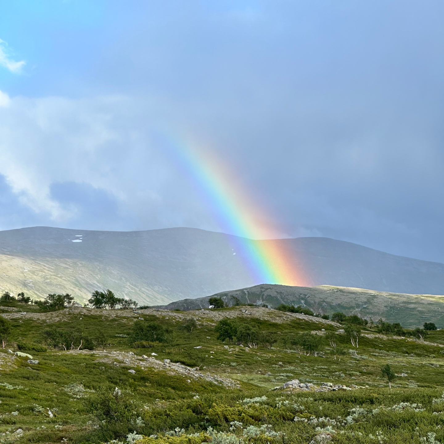 Sateenkaari tunturimaisemassa
