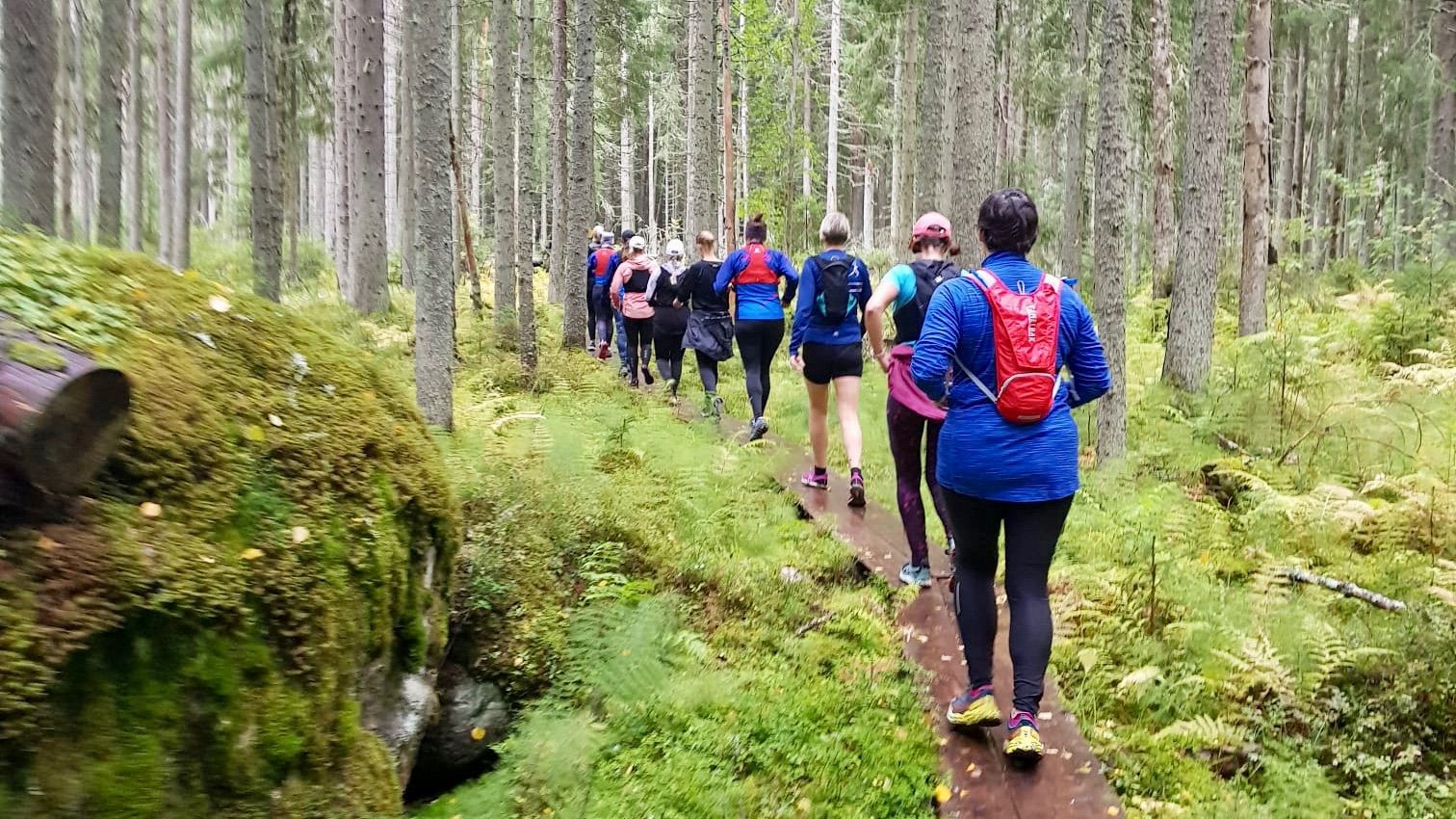 Juoksuryhmä metsäpolulla valmentajan johdolla