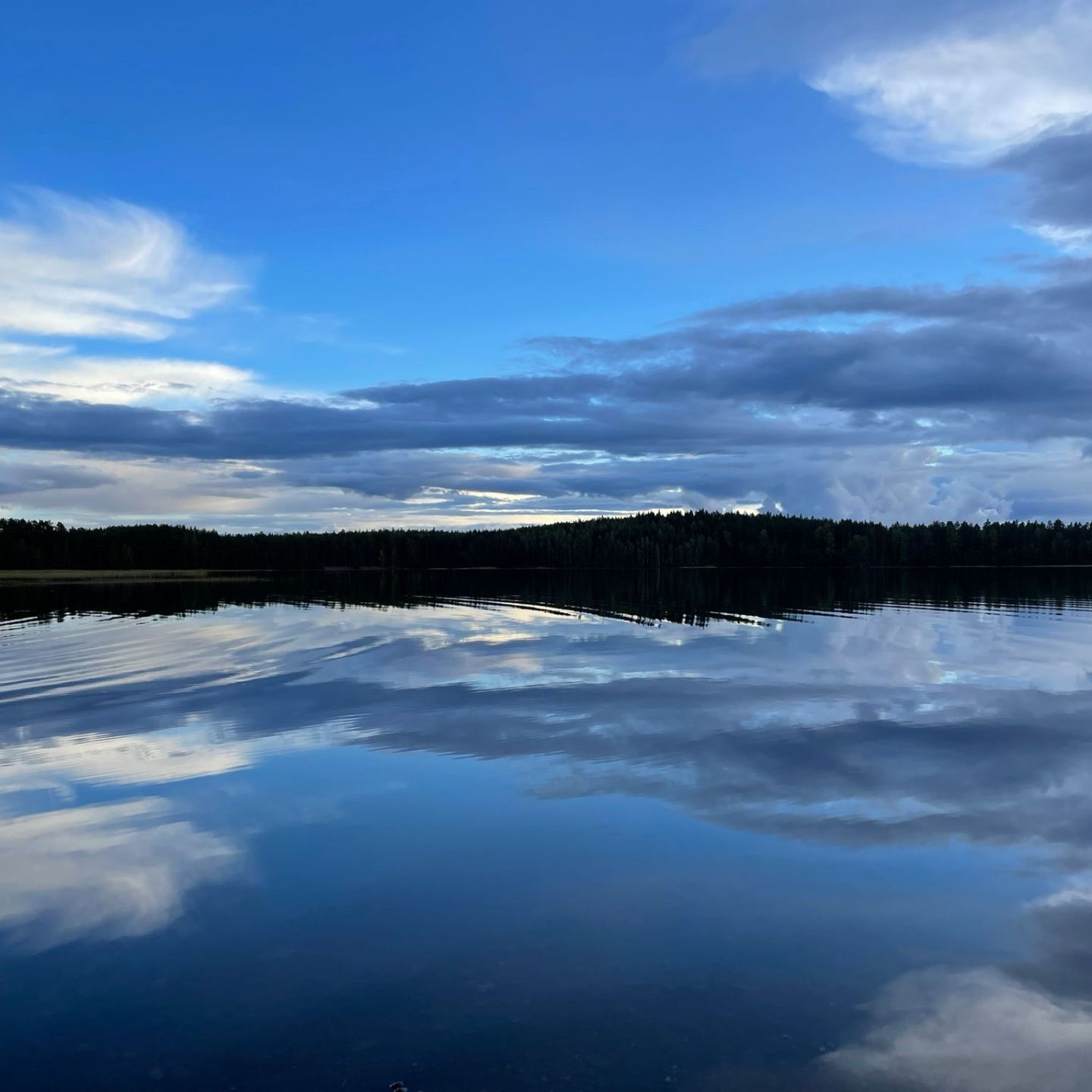 Järvimaisema luonnossa