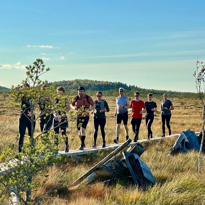 Juoksuryhmä suolla puulankulla