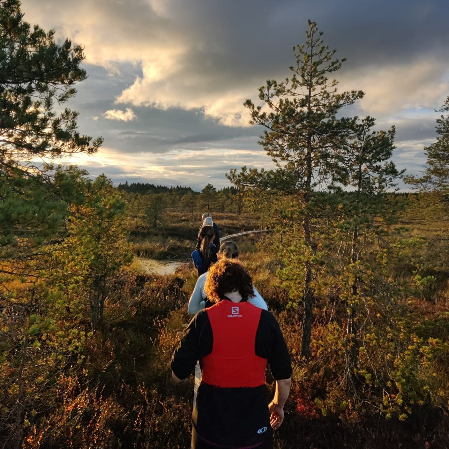 Juoksuryhmä pitkospuilla suomaisemassa auringonlaskussa