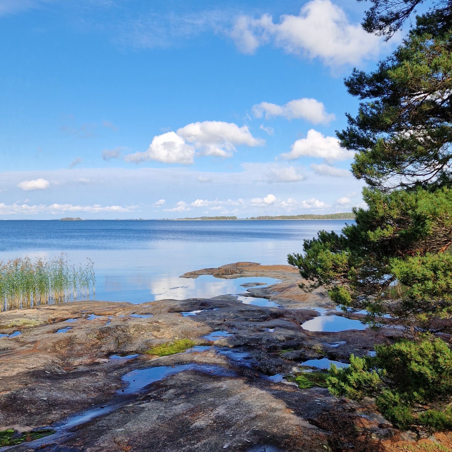 Kallioranta järven rannalla