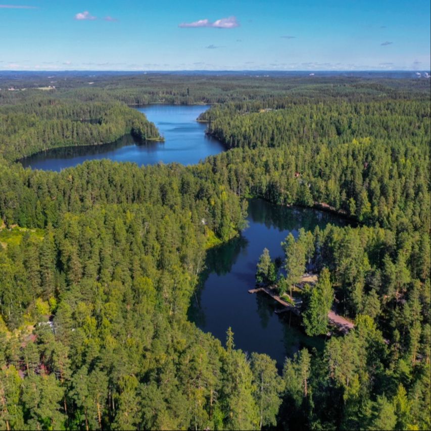 Aerial view of lakes and forest landscape