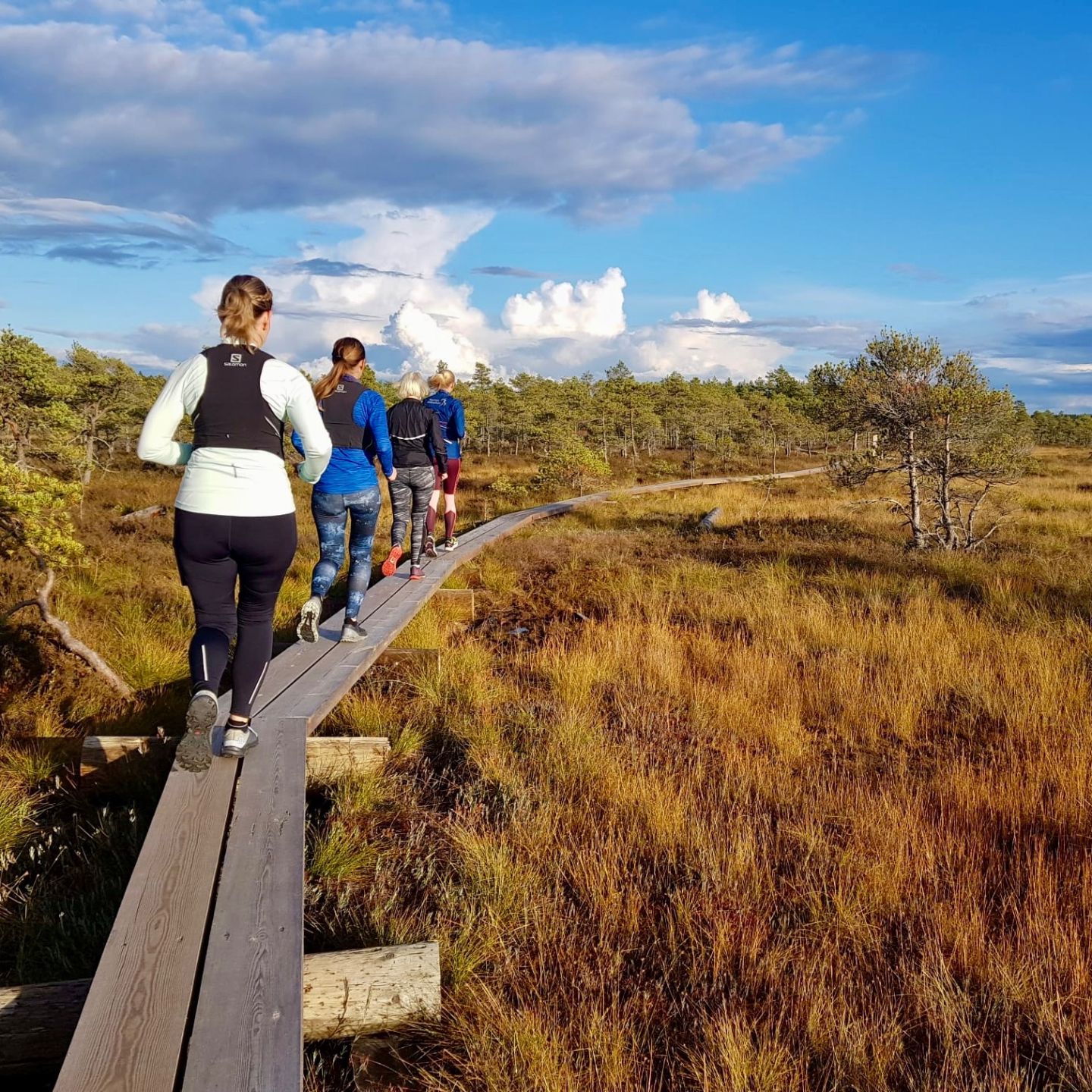 Juoksuryhmä pitkospuilla suomaisemassa