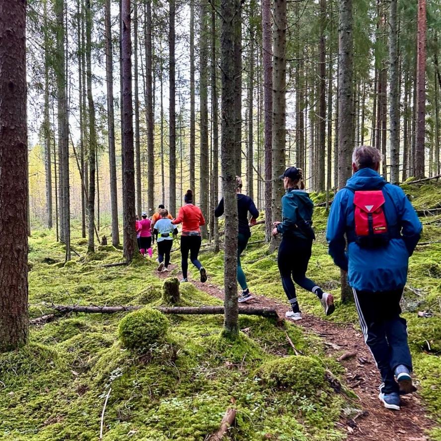 Juoksuryhmä metsäpolulla takaa