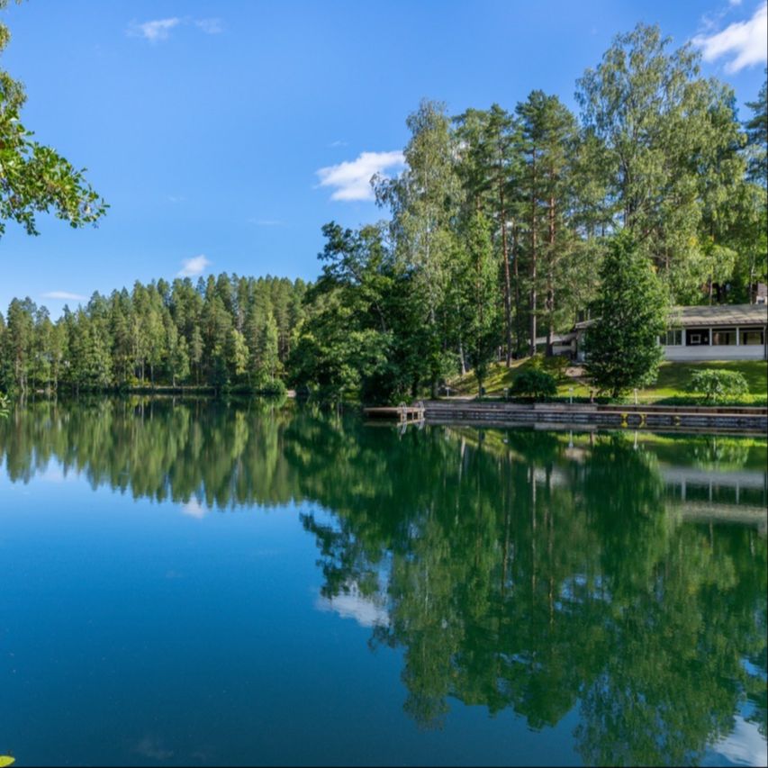 Calm lake surrounded by forest