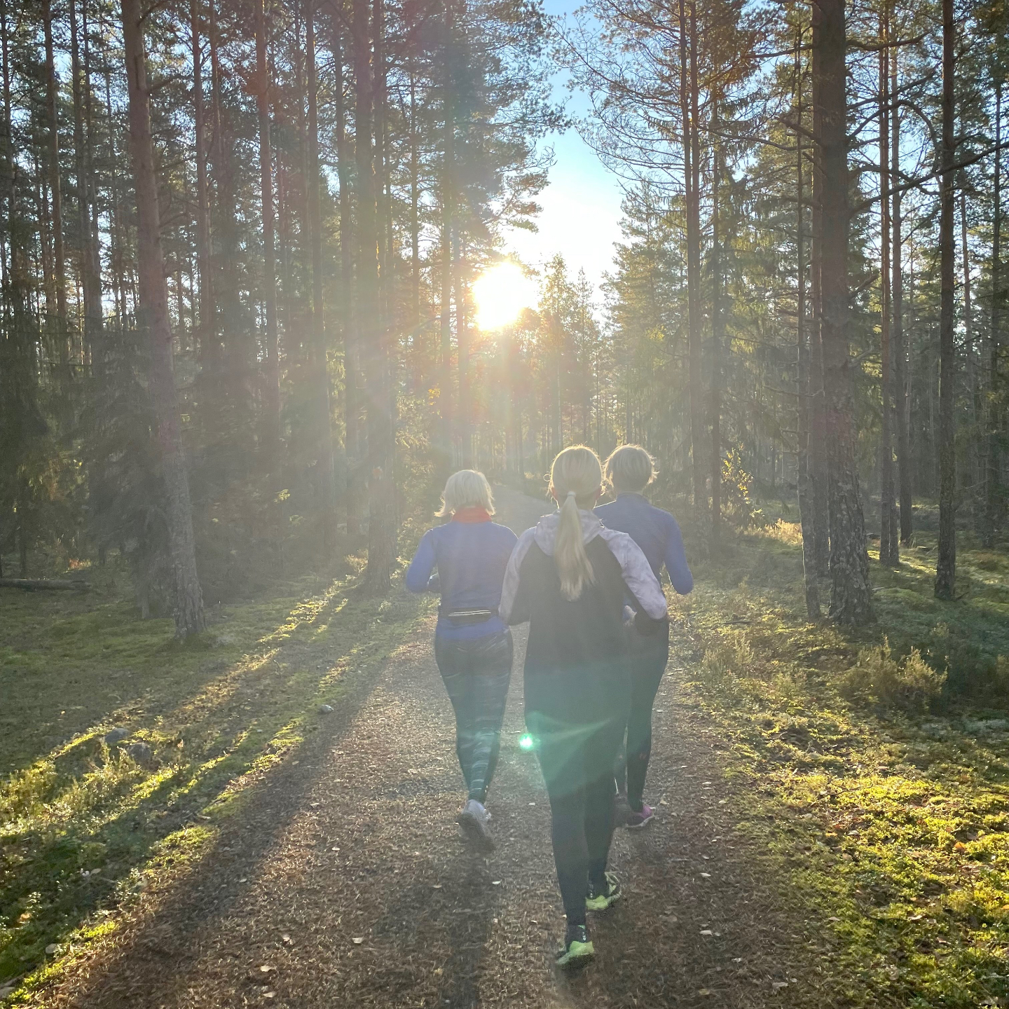 Juoksijat metsäpolulla auringonvalossa