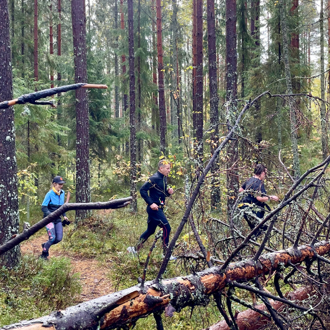 Juoksijat ylittävät kaatuneita puita metsässä