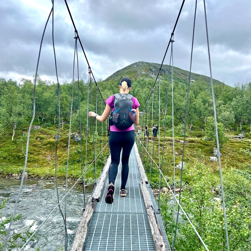 Riippusilta tunturireitillä