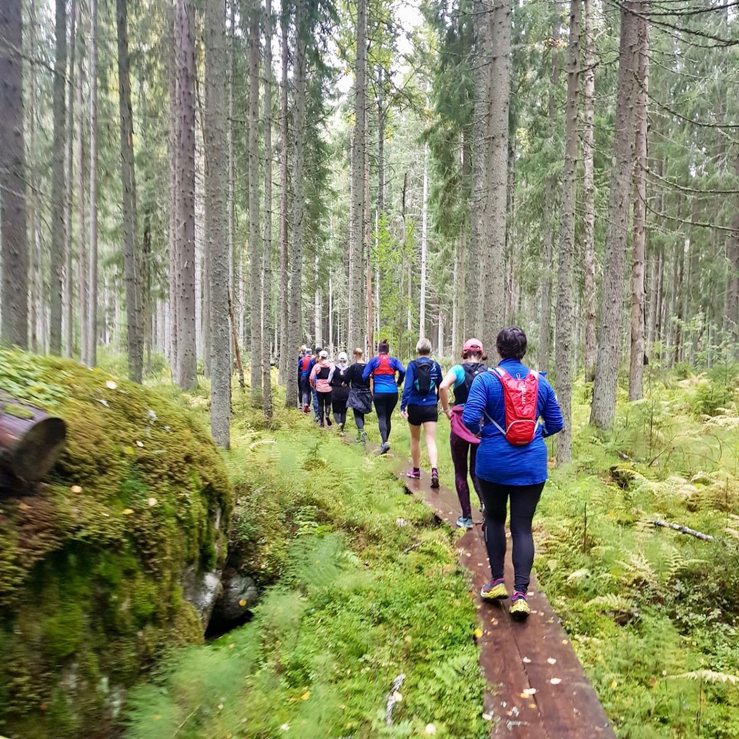 Juoksuryhmä metsäpolulla valmentajan kanssa
