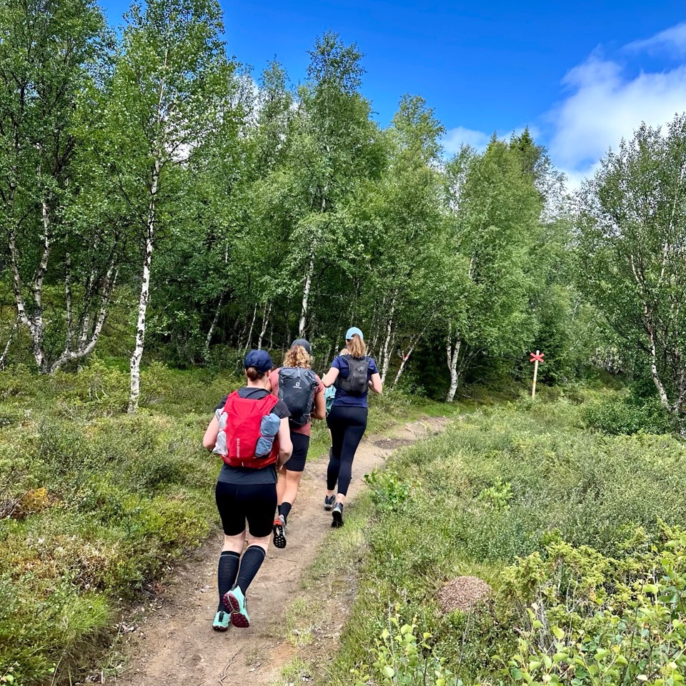 Juoksua metsäpolulla tunturialueella