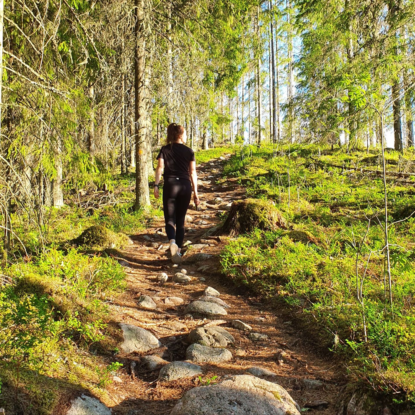 Forest trail for running near lake