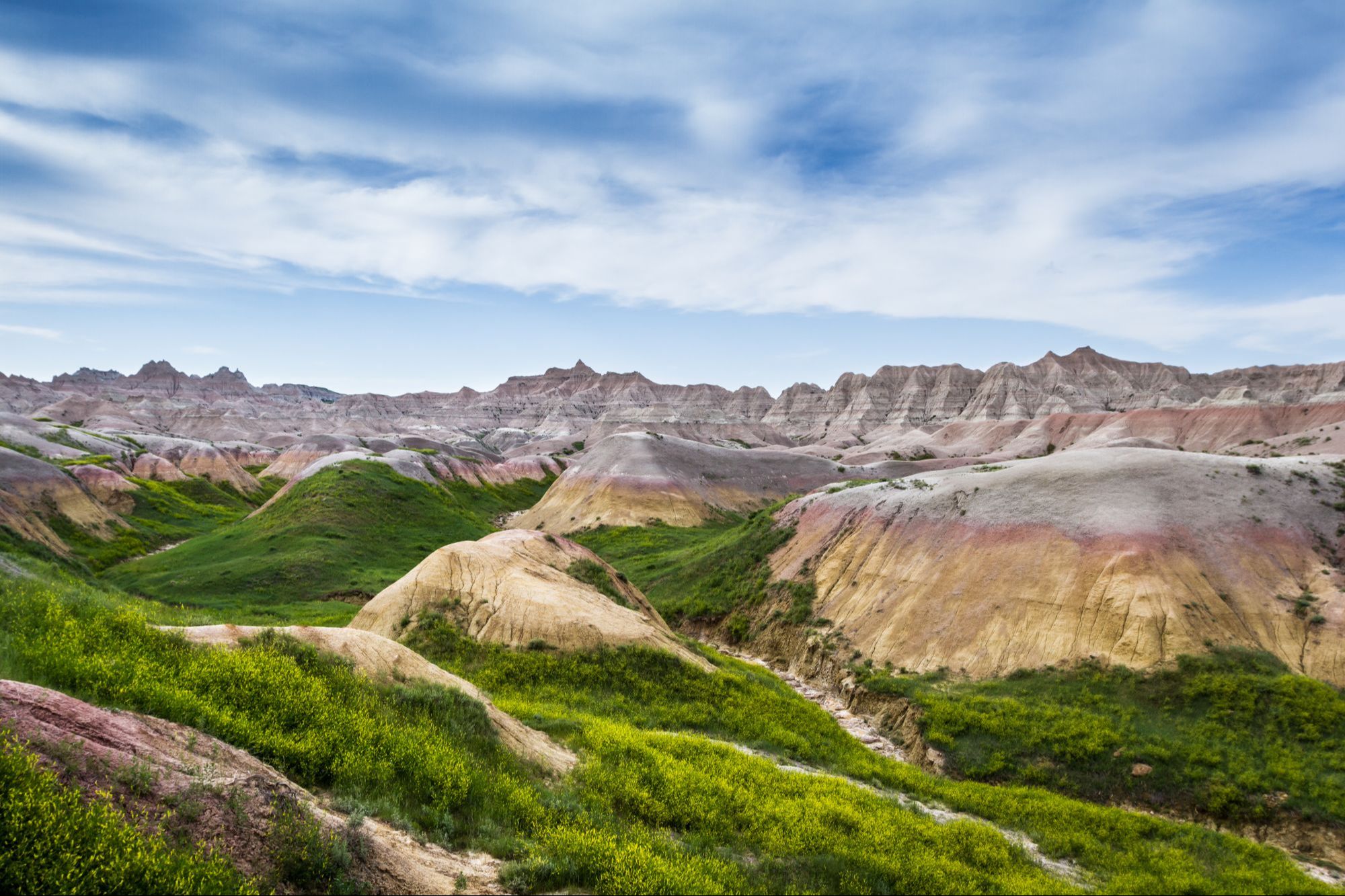 nature photography classes online