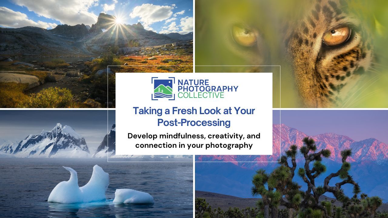 landscape photography tips