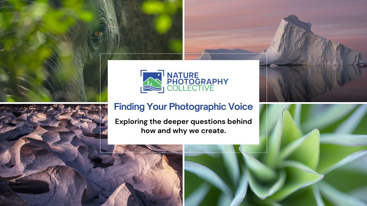 landscape photography tips