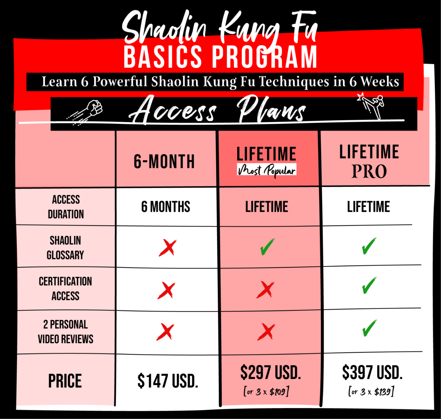 MAT | Shaolin Kung Fu Basics Program | 6 Powerful Shaolin Kung Fu Techniques | Access Plans