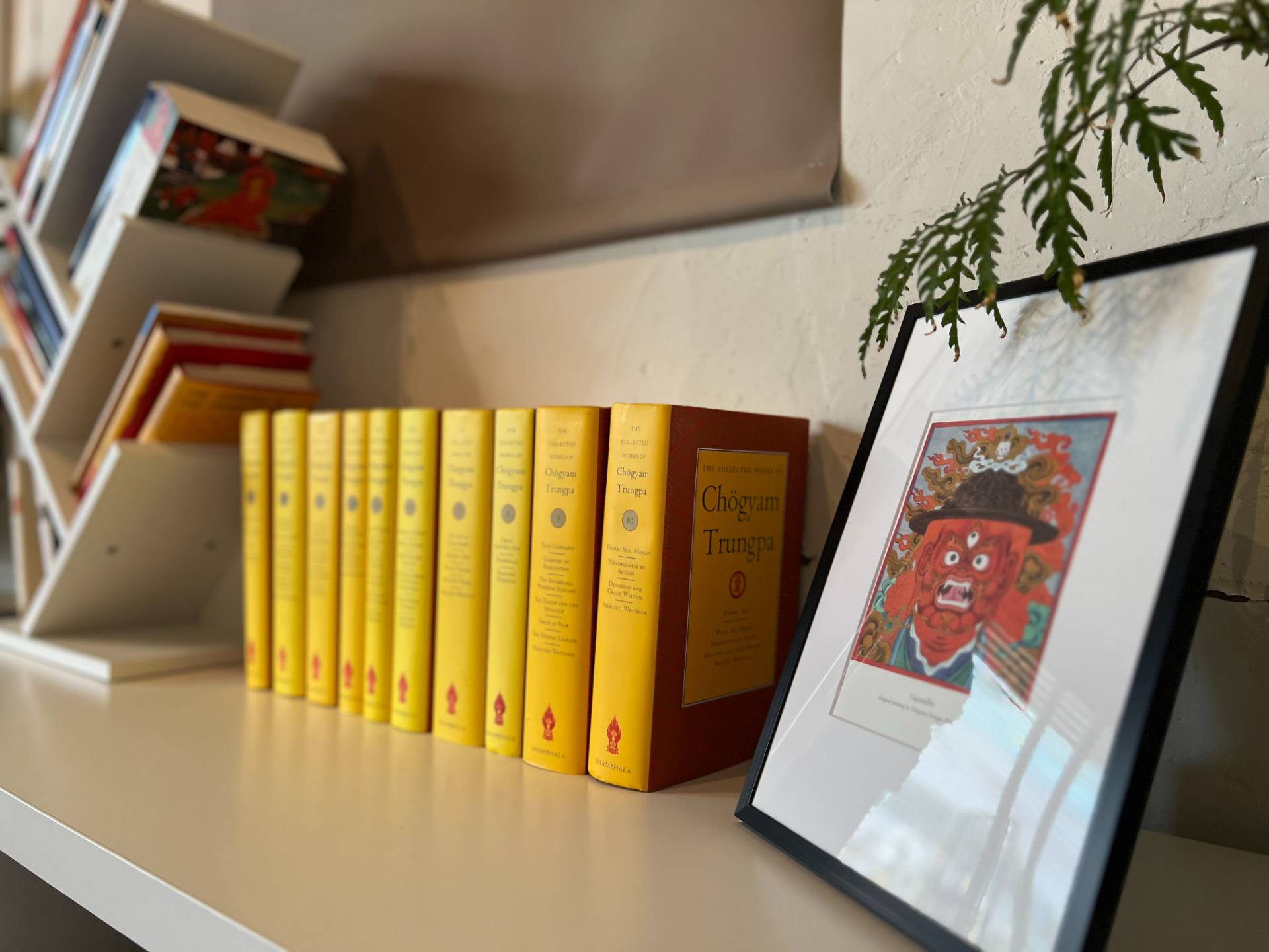 棚の、黄色い全集(The Collected Works of Chögyam Trungpa)