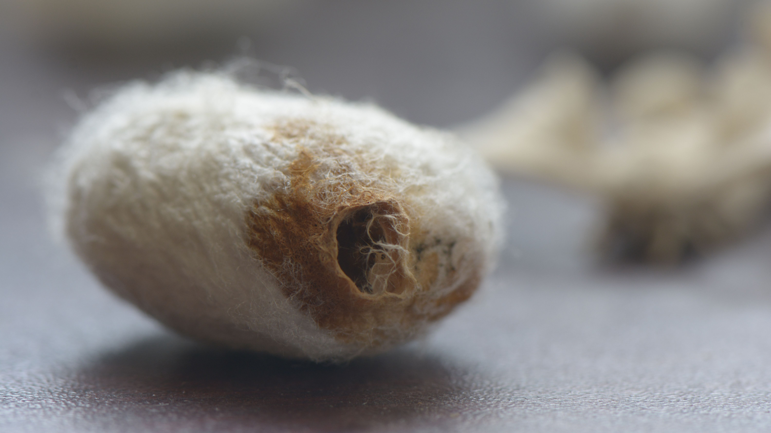 Basic Goodness イメージ