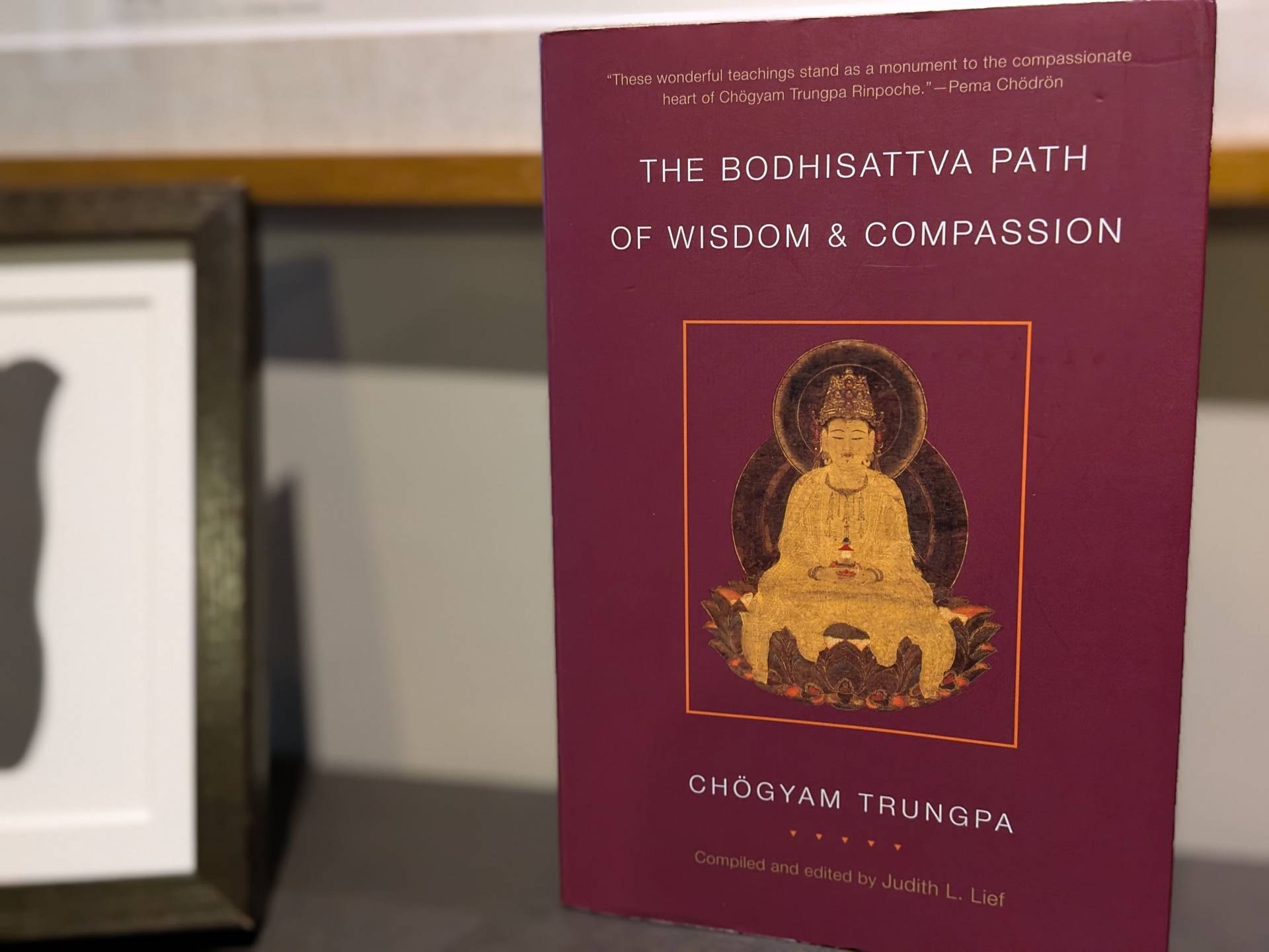 The Bodhisattva Path of Wisdom & Compassion——The Profound Treasury of the Ocean of Dharma 第2巻