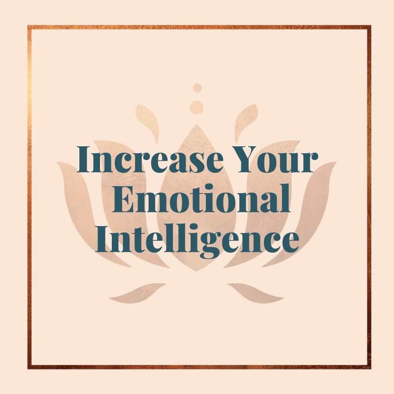 Emotional Intelligence EQi-2.0 Rochester New York