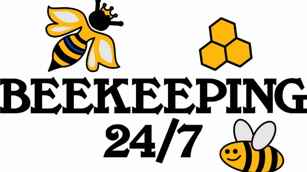 Header Logo
